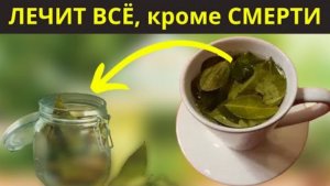 ЧАЙ который бросает вызов смерти лечит более 200 болезней и даже.... ✅
