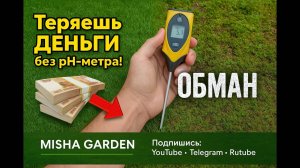 Мох на газоне — обман! Как теряются деньги без pH-метра. #газон #pHпочвы #уходзагазоном