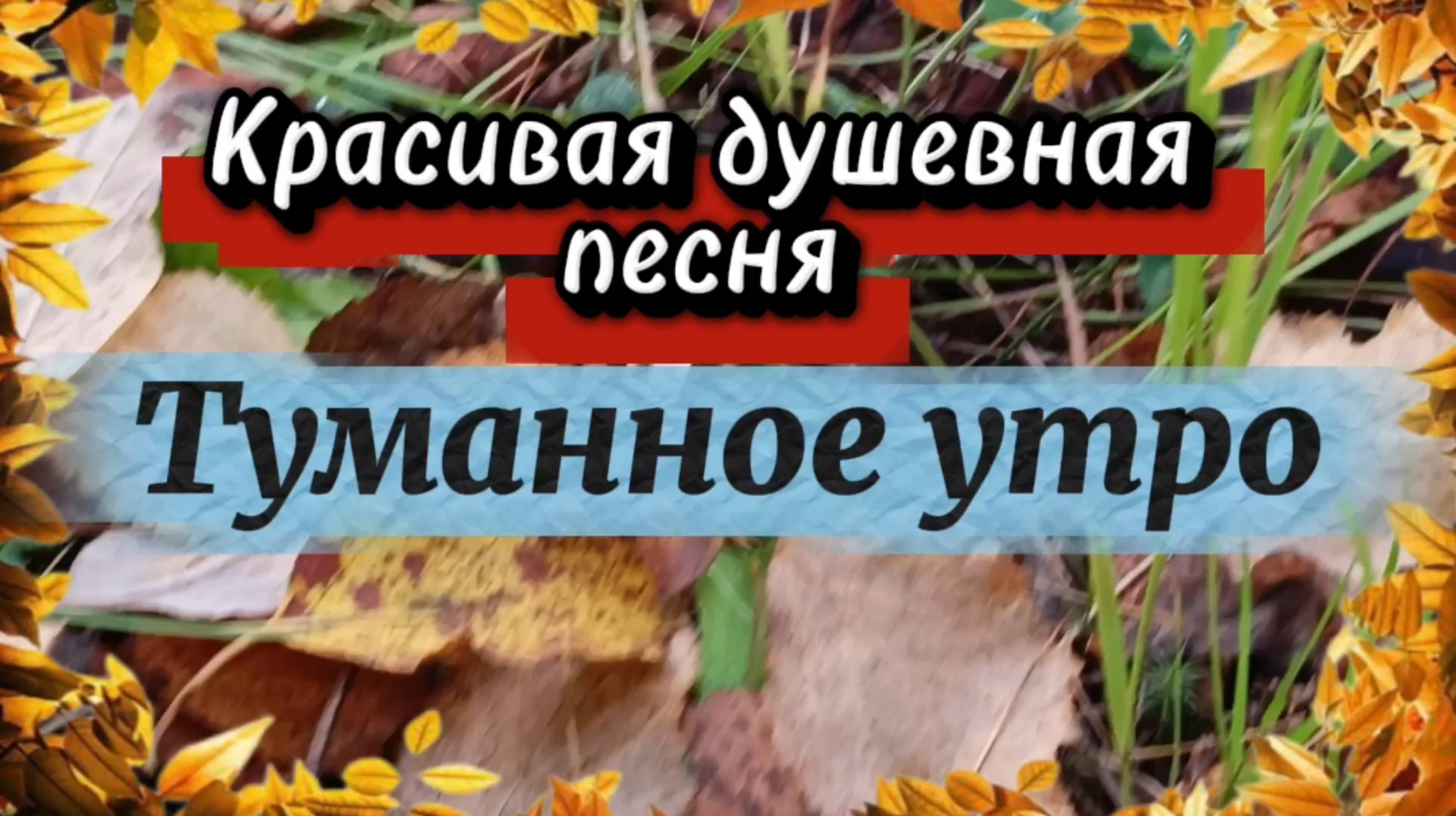 Красивая душевная песня ТУМАННОЕ УТРО. смотреть онлайн