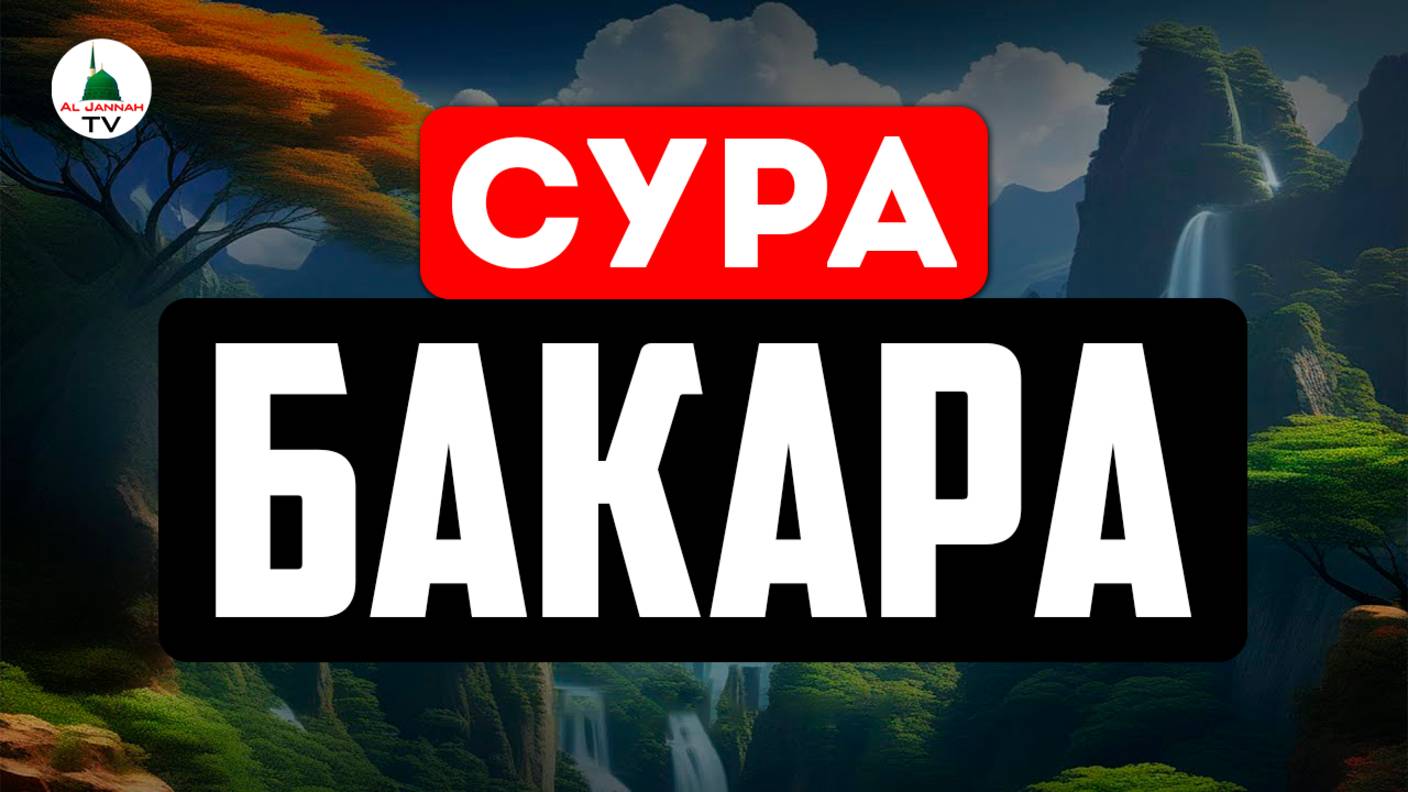 Сура Бакара. Красивое чтение Корана. Включайте дома и слушайте каждый день смотреть онлайн