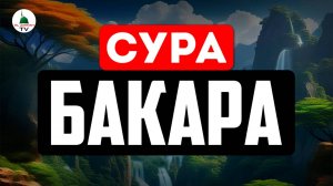 Сура Бакара. Красивое чтение Корана. Включайте дома и слушайте каждый день