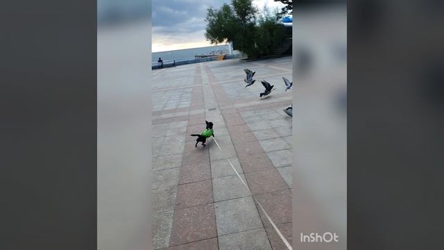 Дюша в Ялте