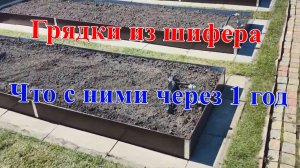 Грядки из шифера  через 1 год