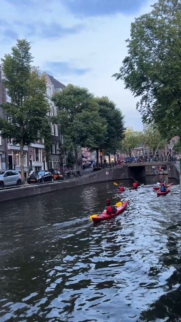 Вы замечали, что вечером весы показывают одно число