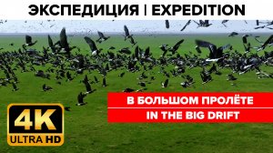 В Большом Пролёте