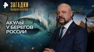 Акулы у берегов России — Загадки человечества с Олегом Шишкиным (16.09.2025)