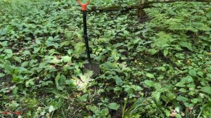 Нашли в лесу некопаный хутор с Garrett Vortex