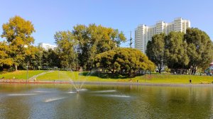 Беловежский пруд в Москве последние дни бабьего лета.