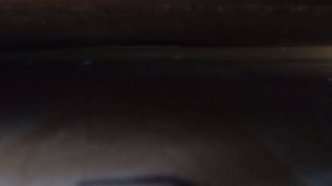 монстр под диваном