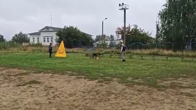 6.  недостаточно/не сдан АЛЛЕМО ХАУС ИРАНА (Targus v. Frosten – Аллемо Хаус Оками)