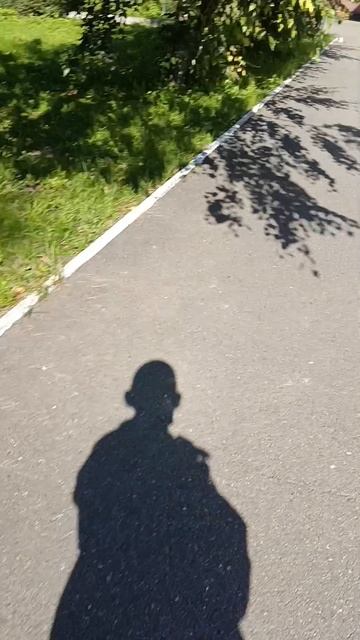 солнце светит