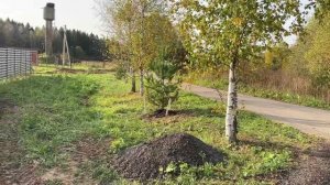 Влог с дачи ❗❗❗😍