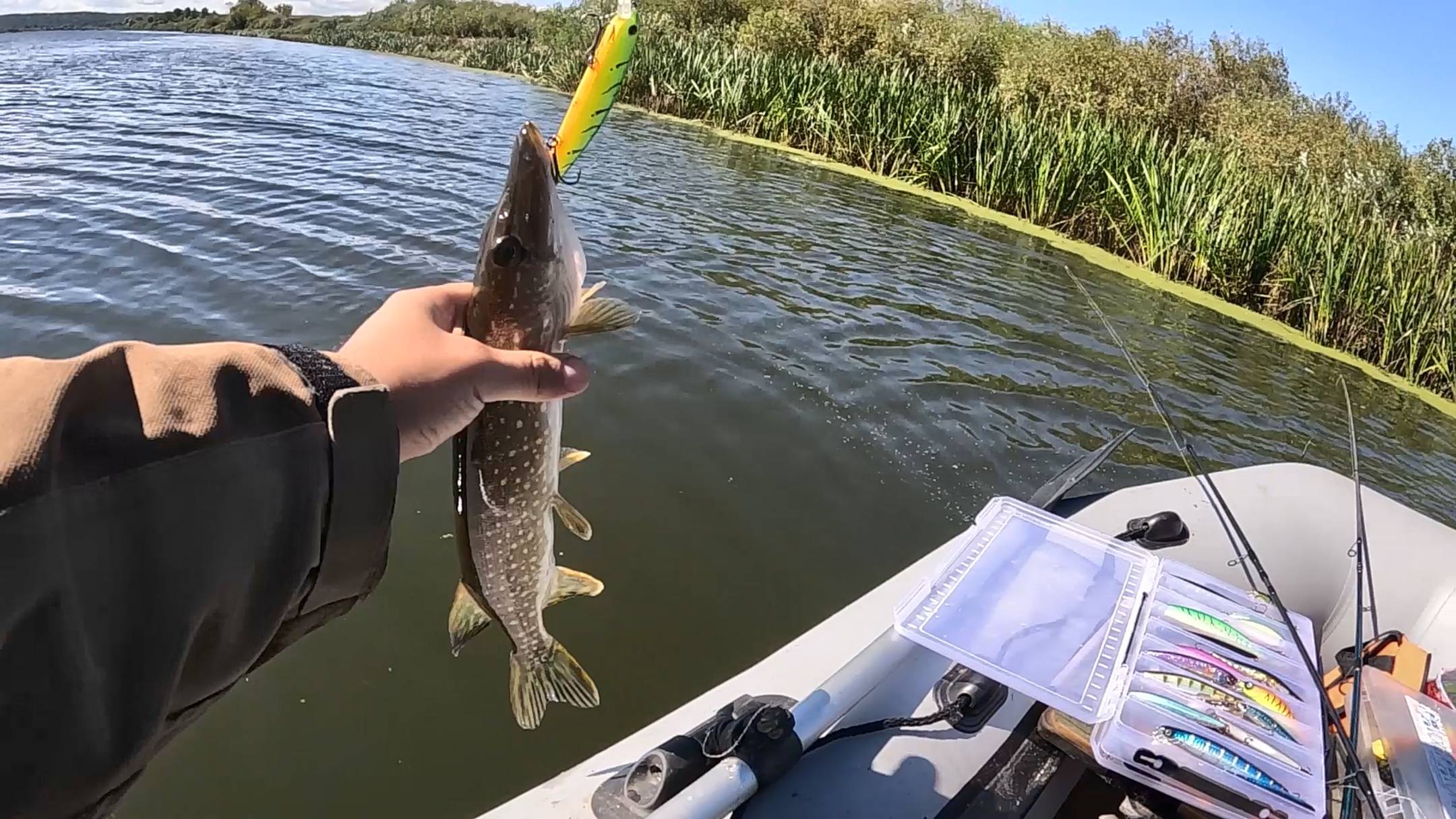 Щука на спиннинг с лодки. Рыбалка в сентябре 2025 смотреть онлайн