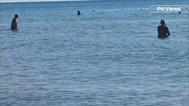 АНАПА пляж ВИТЯЗЕВО сегодня 16 сентября 2025. Море и погода в Анапе сейчас. Есть ли мазут на пляжах? смотреть онлайн