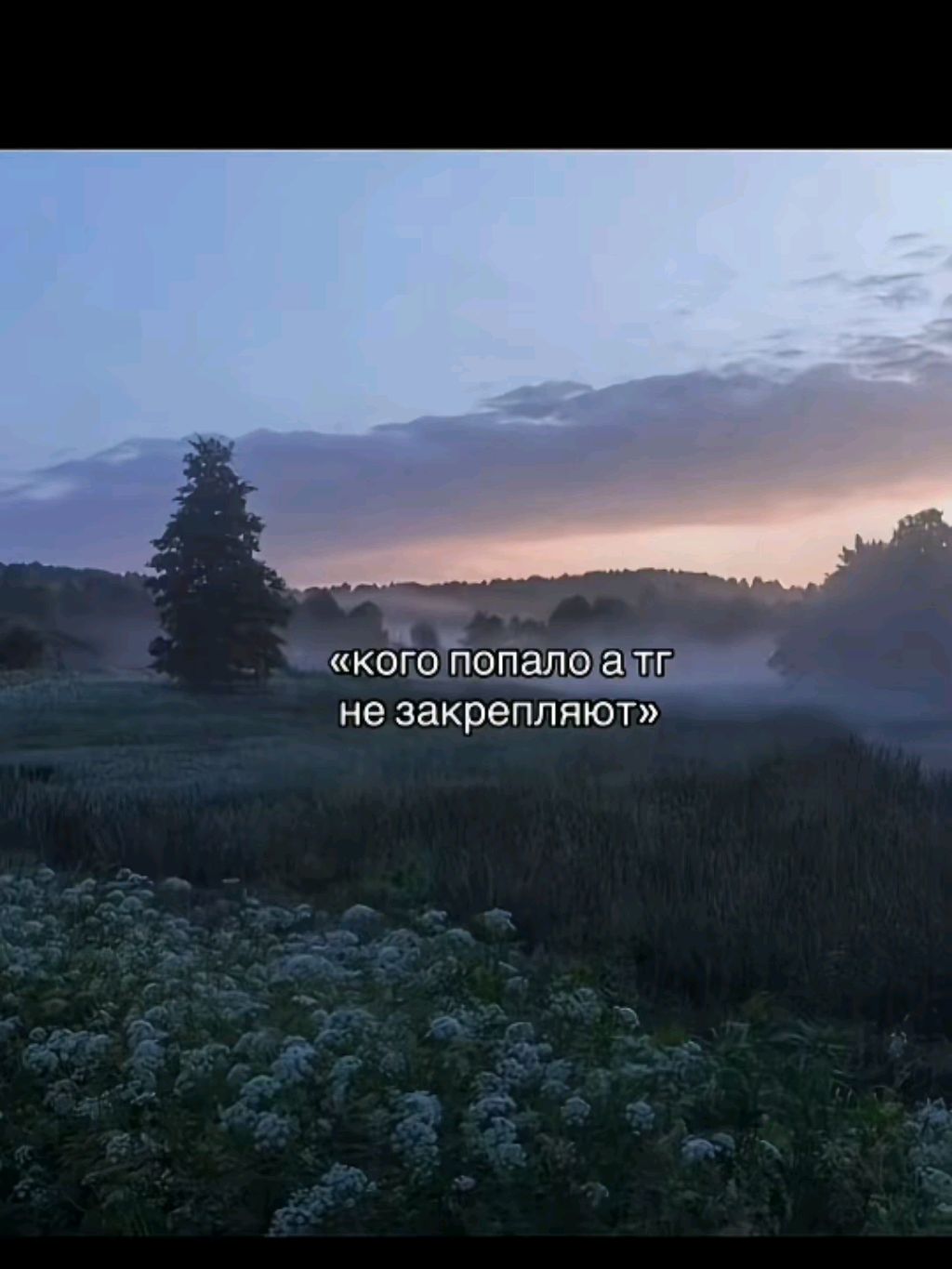всем привет смотреть онлайн