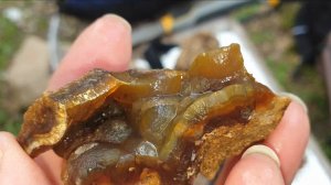 Слет любителей минералов в мае 2025г. Часть 3, поиски агатов, халцедонов, рисунчатых кремней