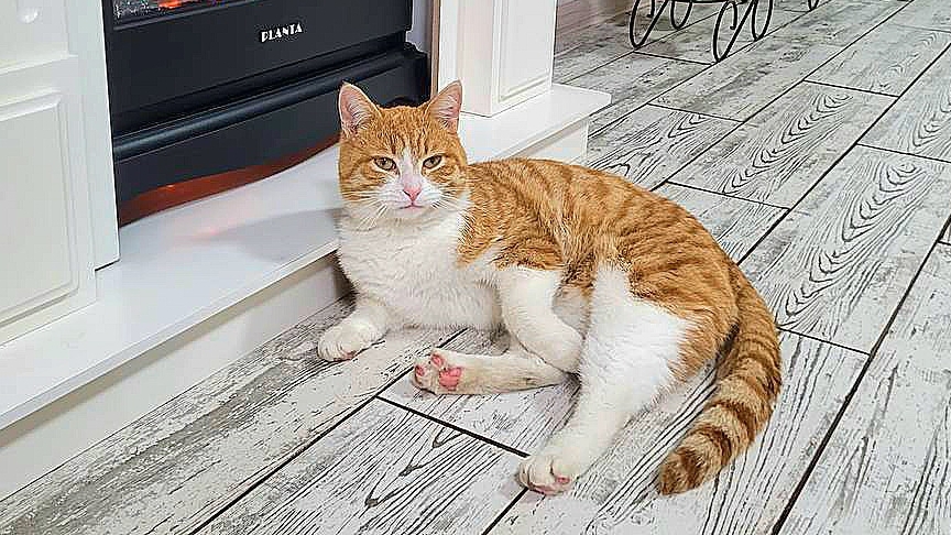 ПРОЩАЙ, ЗОЛОТОЙ РЕБЁНОК 💔 Я не смогла тебя спасти😭 смотреть онлайн