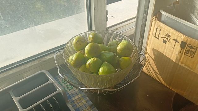 сын Данил съездил на рынок.
Будем готовитьовощное рагу 16.09.2025г. смотреть онлайн