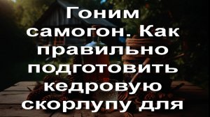 Гоним самогон. Как правильно подготовить кедровую скорлупу для настаивания и где дешево ее купить.(1