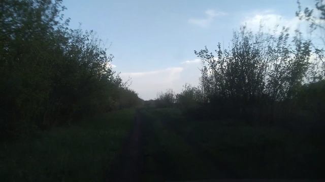 Едем в село Песчанка (Самойловский район).