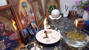 Чистка почек и мочевыводящих путей