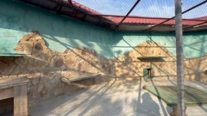 Это НАДО ВИДЕТЬ, как Олег Зубков обхитрил нашу Люську)))