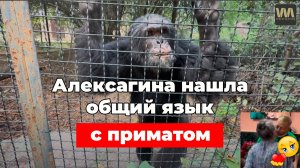 Алексагина нашла общий язык с приматами!, 16 сентября