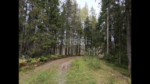 9232919 смотреть онлайн