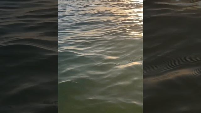 Отдыхаем на Бугазской косе. Сентябрь море вечером тёплое. смотреть онлайн