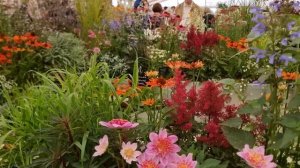 САДЫ БРИТАНИИ. ФЕСТИВАЛЬ ЦВЕТОВ  В ХАМПТОН КОРТ 2025 ЛОНДОН  Hampton Court Garden Show 2025 London