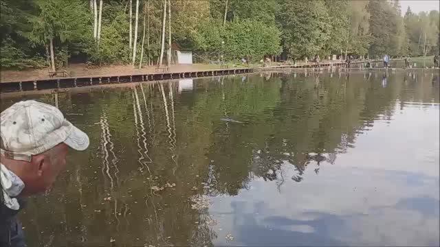 Клёвое место Лосиный остров