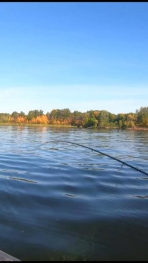 НА ЛОВЛЮ ЧЕХОНИ ВЫШЕЛ ВЕСЬ ГОРОД/РЕКА ВОЛГА,САМАРА/ОСЕННЯЯ РЫБАЛКА/ЧЕХОНЬ/РЫБАЛКА В САМАРЕ