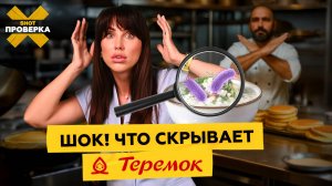 Что скрывает «Теремок»? Кадры с кухни, которые шокируют.