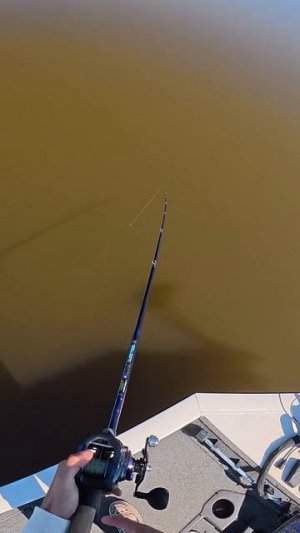 Рабочая блесна 🎣