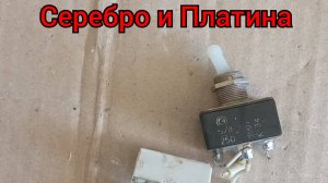 Похоже ПОВЕЗЛО! Нашел ПЛАТИНУ и СЕРЕБРО👍