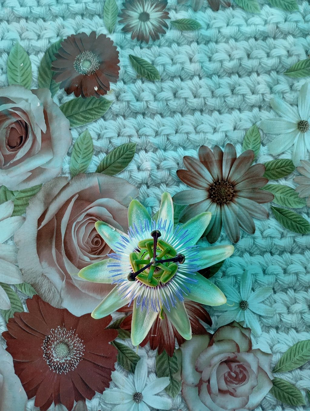 Как стать блогером смотреть онлайн