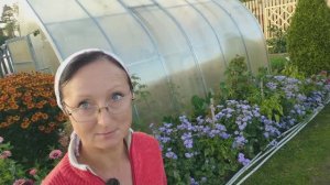 Видео привет с 6 соток 16 сентября 2025 года