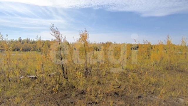 9829666 ТСН Крым смотреть онлайн