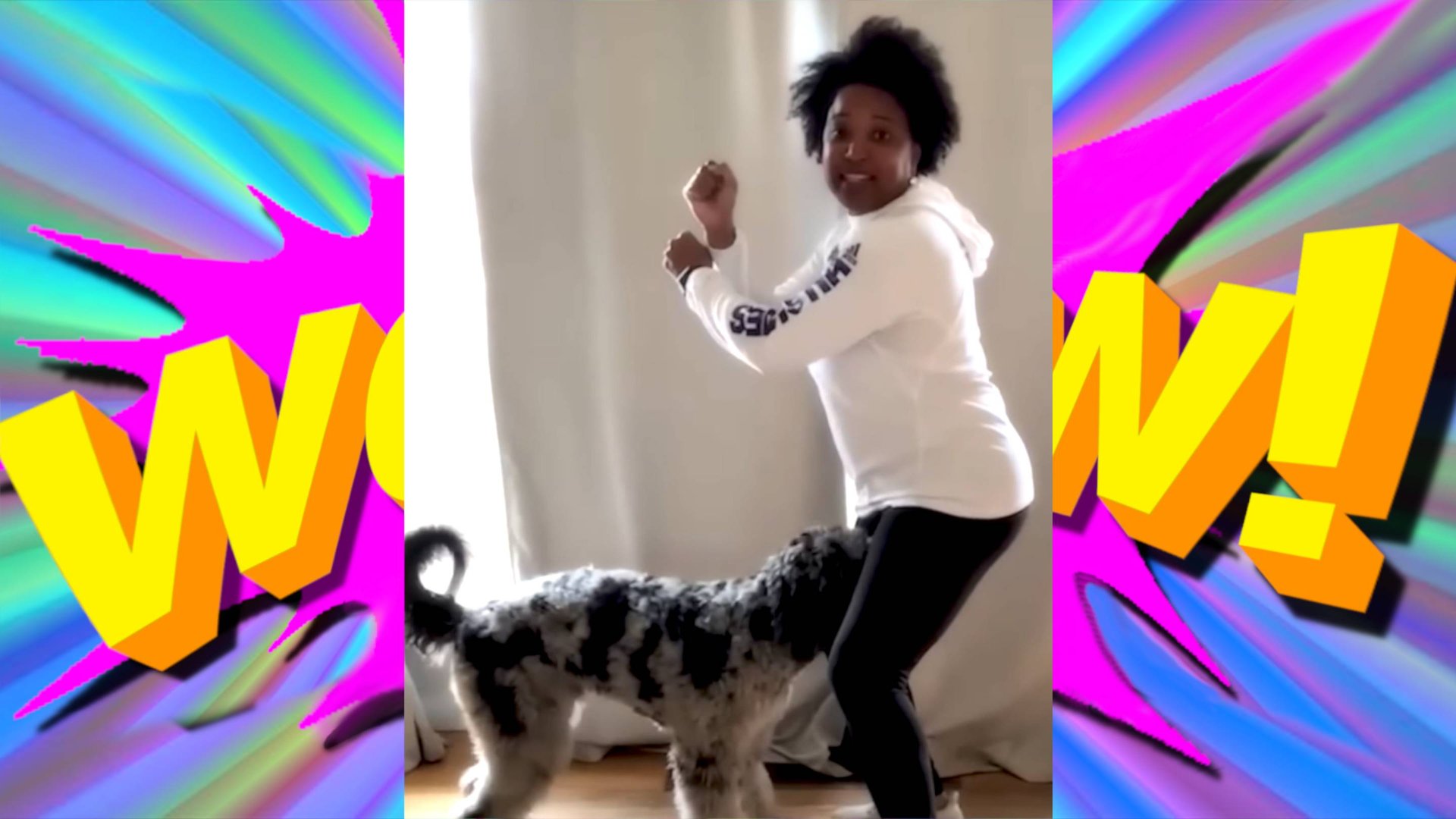 ПРИКОЛЫ НА ЛЮБОЙ ВКУС: СМЕШНЫЕ ВИДЕО ДЛЯ ВСЕХ смотреть онлайн