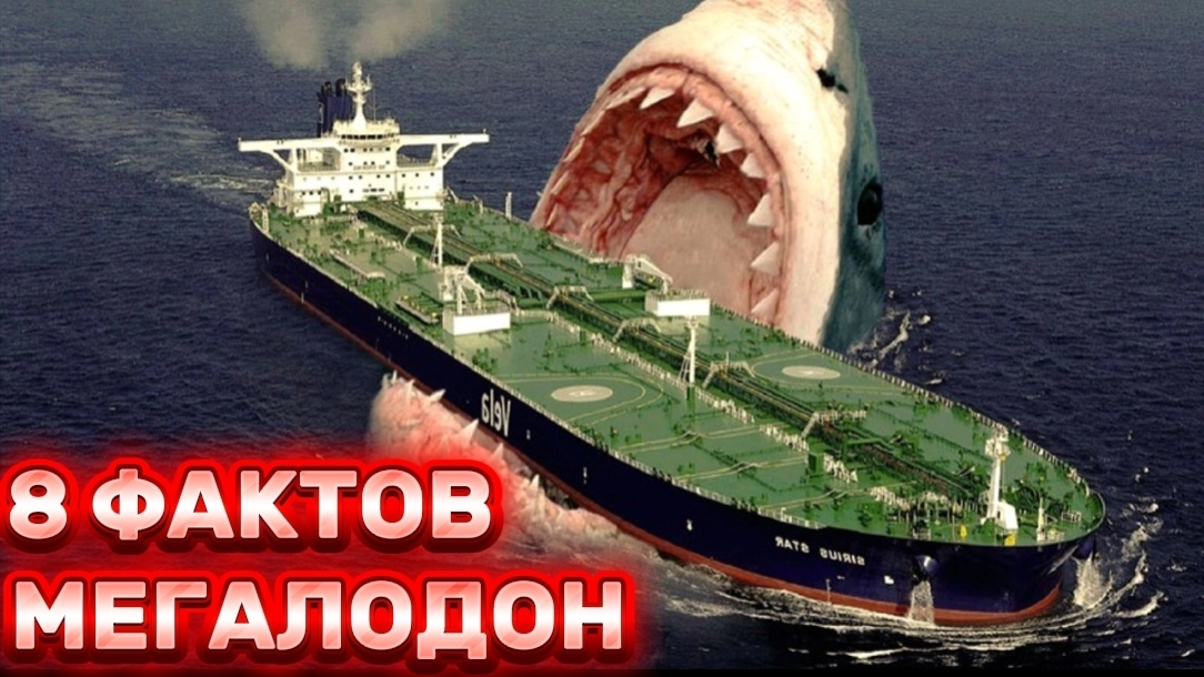 МЕГАЛОДОН ЖИВ - 8 фактов о Мегалодоне смотреть онлайн