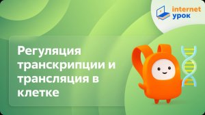 Биология 10 класс. Регуляция транскрипции и трансляция в клетке