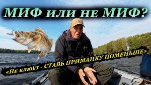 Проверяем МИФ про МАЛЕНЬКИЕ ПРИМАНКИ когда НЕТ КЛЁВА