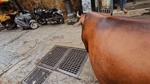 Вещий сон о моём втором замужестве. Мужчина из страны СОВ. История нашего знакомства.