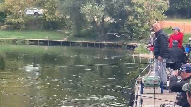Рыбалка в Красногорске Биг Карп.