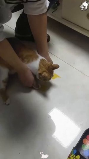 Не ожидал от тебя такого, кожаный!