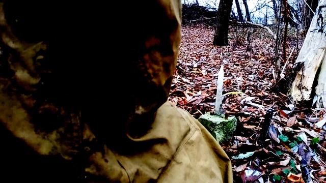 8 Континент-Алистирцы