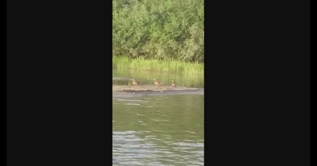 ОТМЕЛИ - Жанна Вишнякова Арс смотреть онлайн