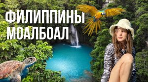 Филиппины 2025. Моалбоал. Каньонинг. Черепахи и сардины.