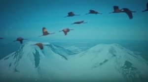 ТУРНАЛА ... - ремастеринг на известную карачаевскую песню...