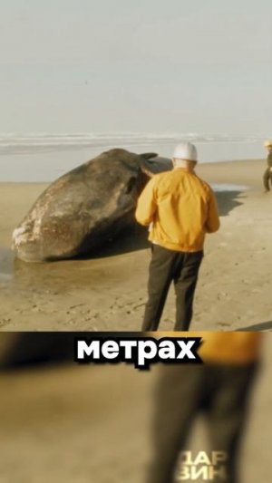 Всё идёт по плану